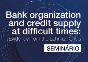 Bank organization and credit supply at difficult times: Evidence from the Lehman Crisis