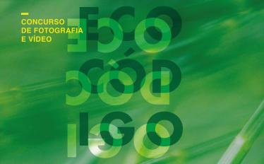 20240415_concurso_eco_codigo_sp.jpg